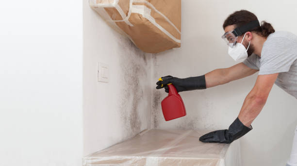 Professional Mold Inspection And Testing technician working in East Boston, MA